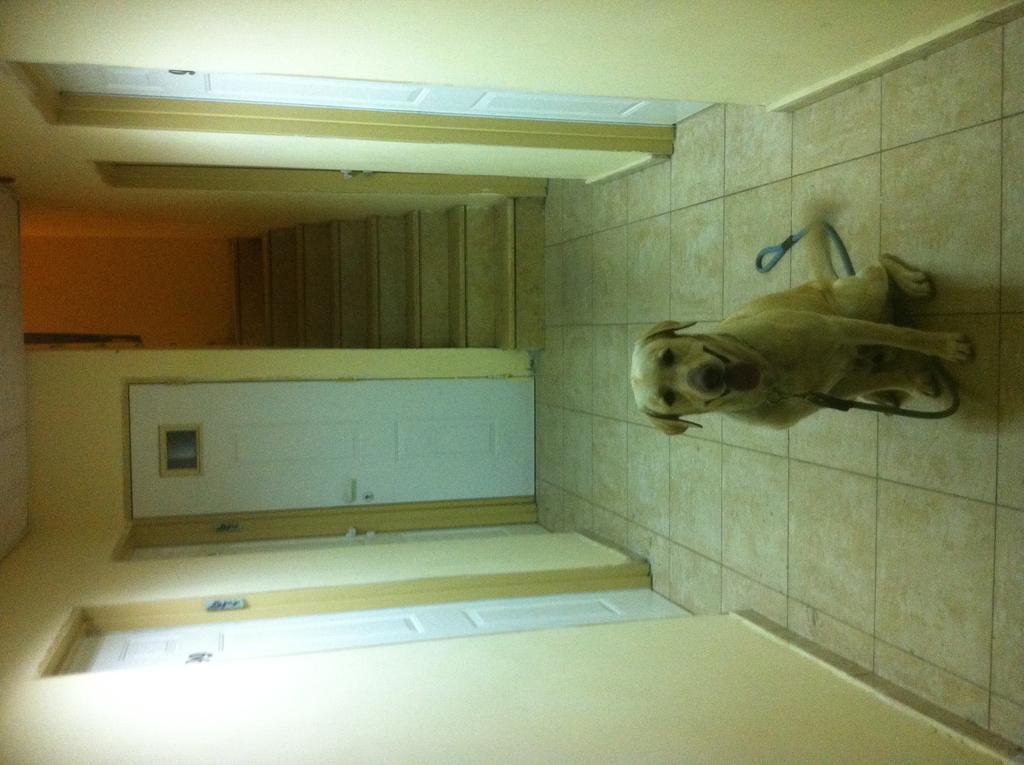 Faulty Towers Hotel Eilat Bagian luar foto